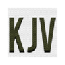KJV Simple Search Parallel Bible App