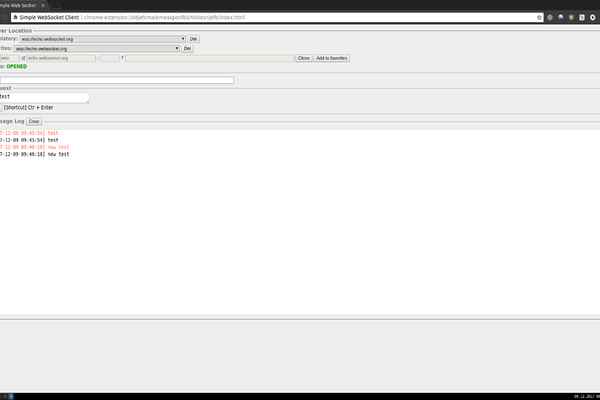 simple-websocket-client-chrome